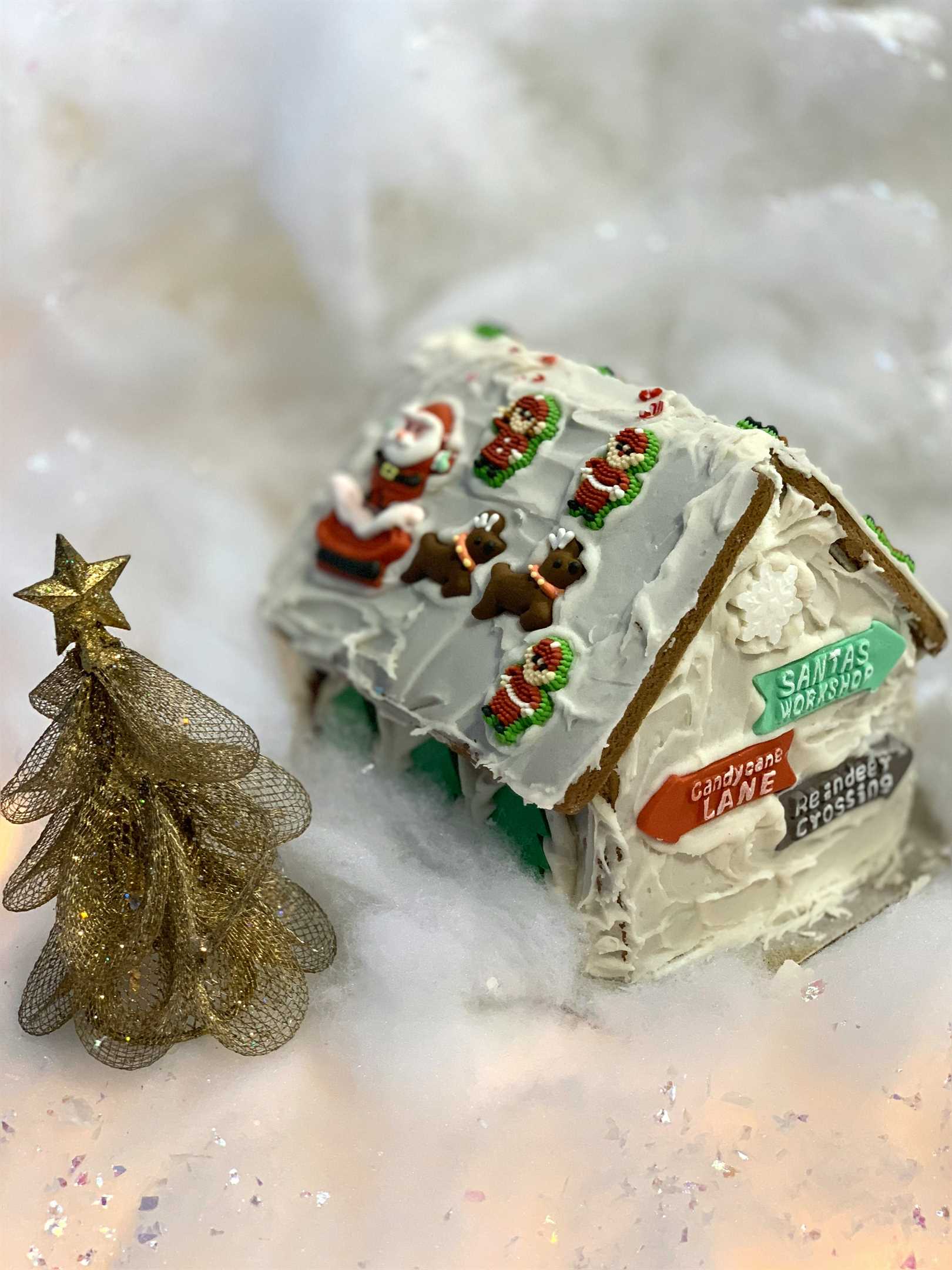 Market Update for the 2024 Holidays!